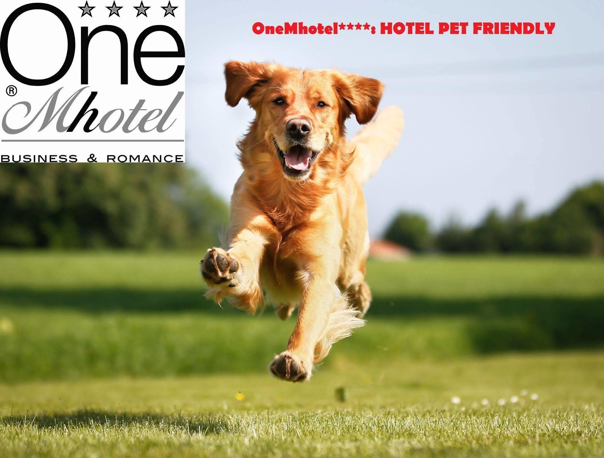 Onemhotel San Paolo  Luaran gambar